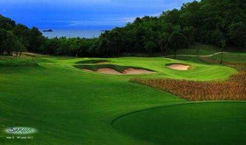 Banyan-15th